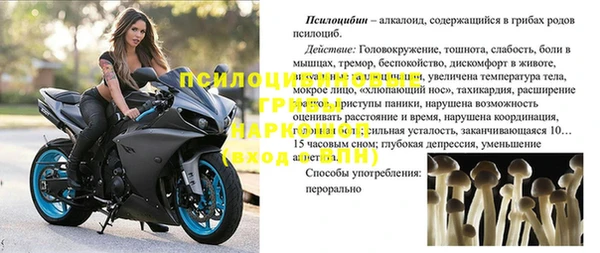 амфетамин Алексин