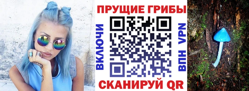 KRAKEN ссылка  Йошкар-Ола  Галлюциногенные грибы прущие грибы 