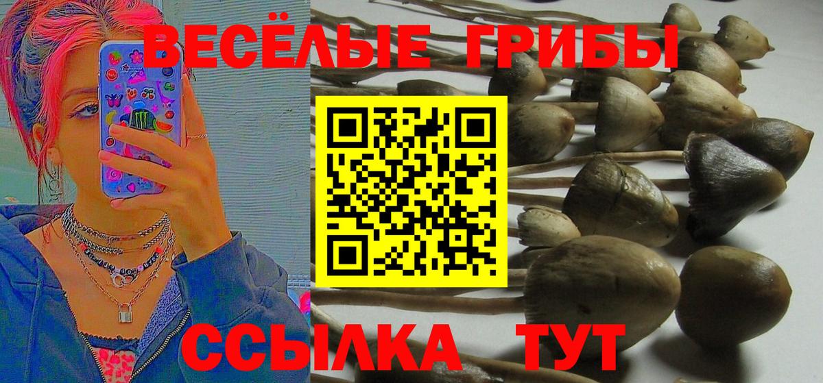 Псилоцибиновые грибы прущие грибы Йошкар-Ола