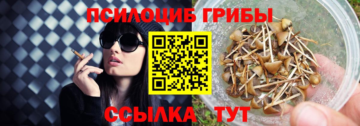 Псилоцибиновые грибы Psilocybe  Вход с VPN  Йошкар-Ола 